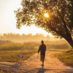 Man walking dog along sunlit path through trees