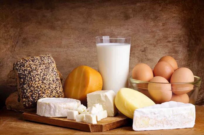 shutterstock_102461903.jpg dairy products
