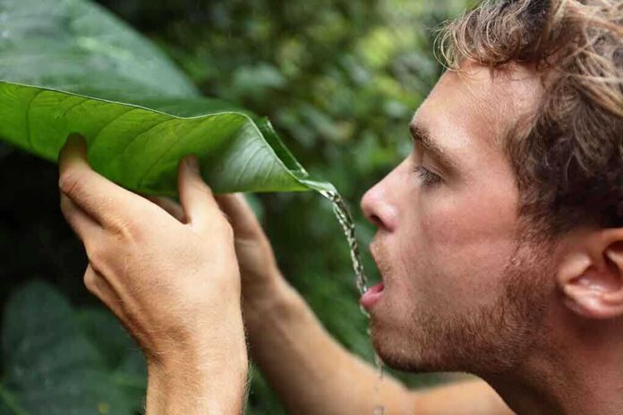 A man using a large leaf to drink water in a natural setting