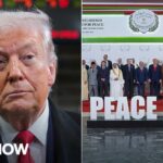 'Crazytown': Trump invites world leaders to join his Board of