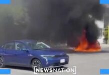 Chaos in Mexico: Stranded American feels thrown 'into a