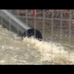 'Ecological disaster': Officials testify on Potomac sewage spill