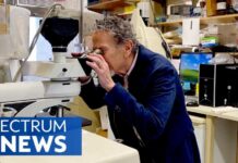 Potential Breakthroughs in the Quest for Male Birth Control