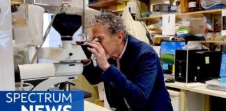 Potential Breakthroughs in the Quest for Male Birth Control