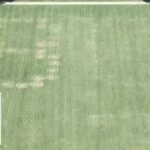 Deranged Vandalism Rattles D.C. Landmark '86 47' VANDALIZED on grass at National Mall