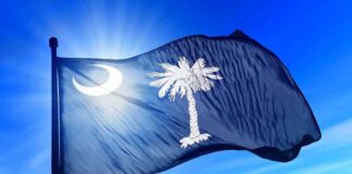 South Carolina state flag waving against a blue sky