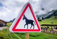 Donkey crossing warning sign in rural mountain landscape