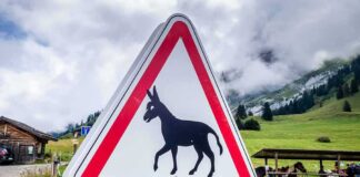 Donkey crossing warning sign in rural mountain landscape