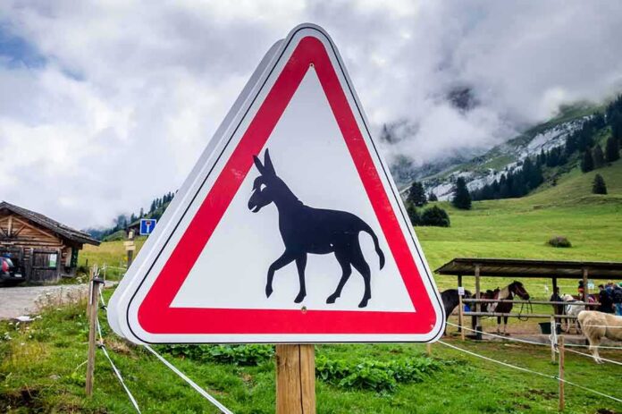 Donkey crossing warning sign in rural mountain landscape