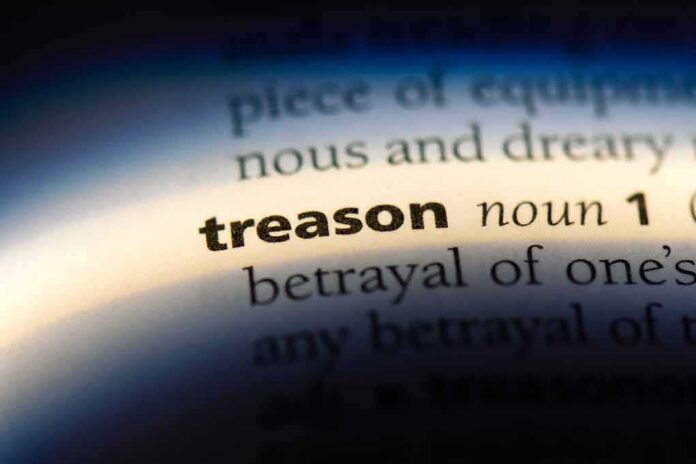 Close-up of the word treason in a dictionary entry