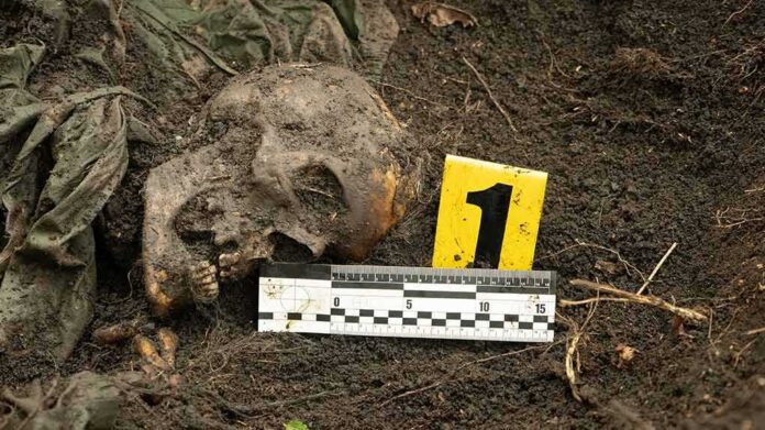 Human skull partially buried in soil with evidence marker and measuring scale