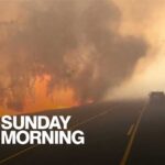 A summer of extremes: Weathering a hotter world