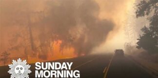 A summer of extremes: Weathering a hotter world