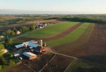 Aerial view of a farm with red barns and expansive green and brown fields